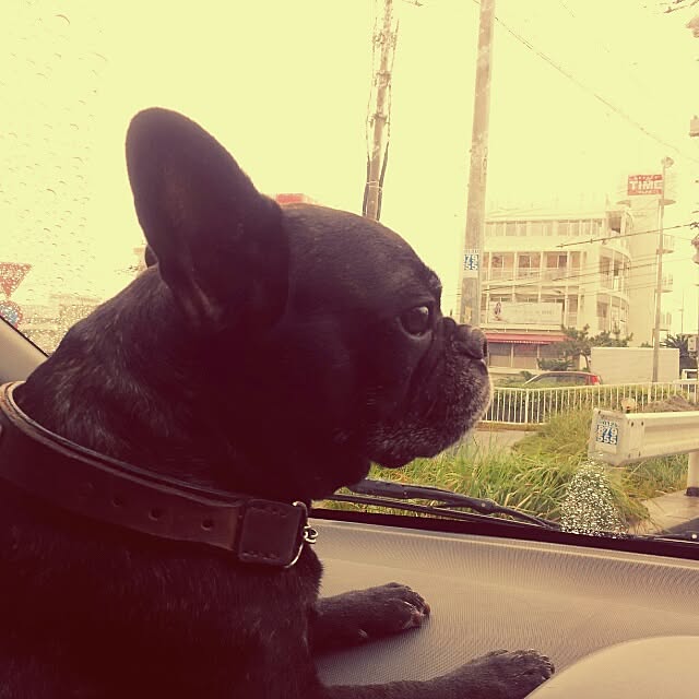 suzyさんの実例写真