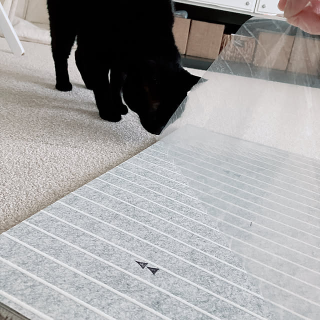 nekomiさんの実例写真