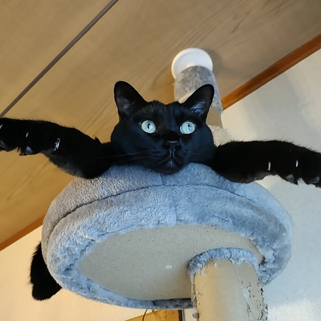 Tさんの実例写真