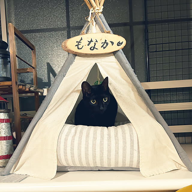 suemonta14さんの実例写真