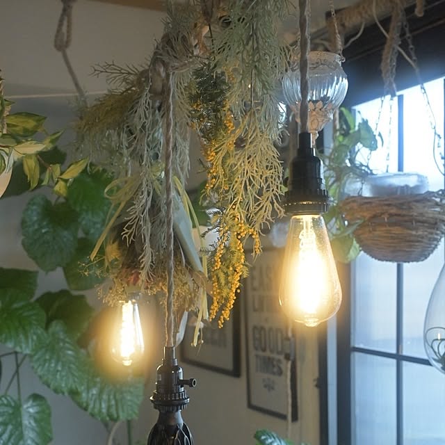 CYNOSさんの実例写真