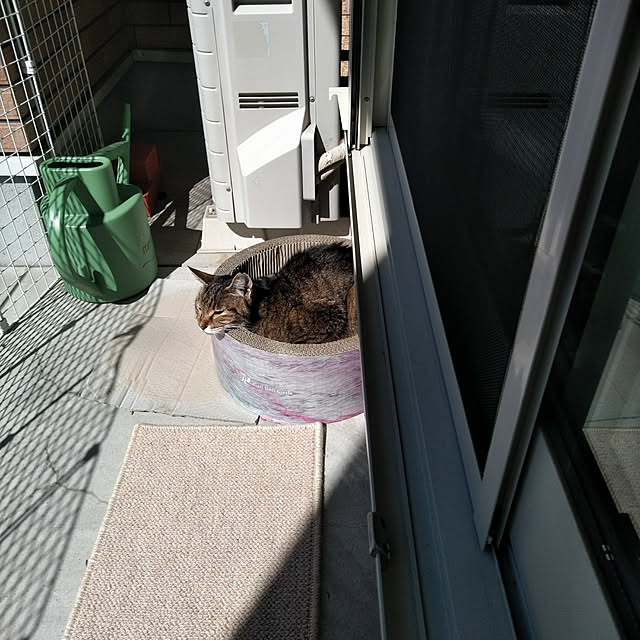lilyさんの実例写真