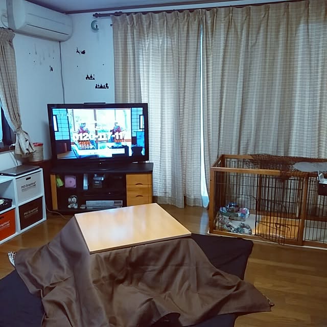 cohakuさんの実例写真