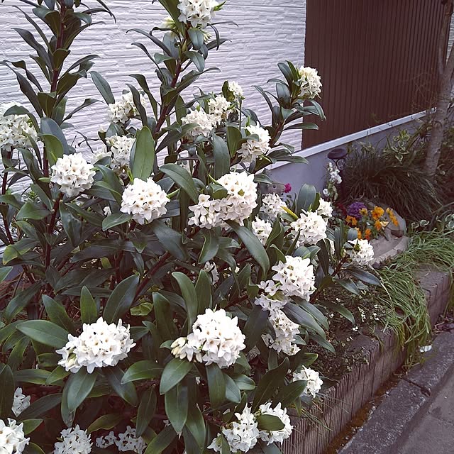 K-mamaさんの実例写真