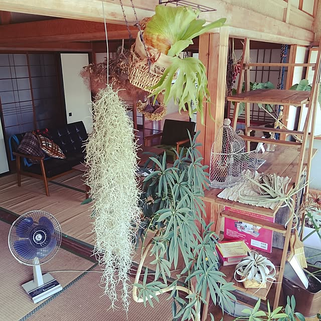 takenさんの実例写真