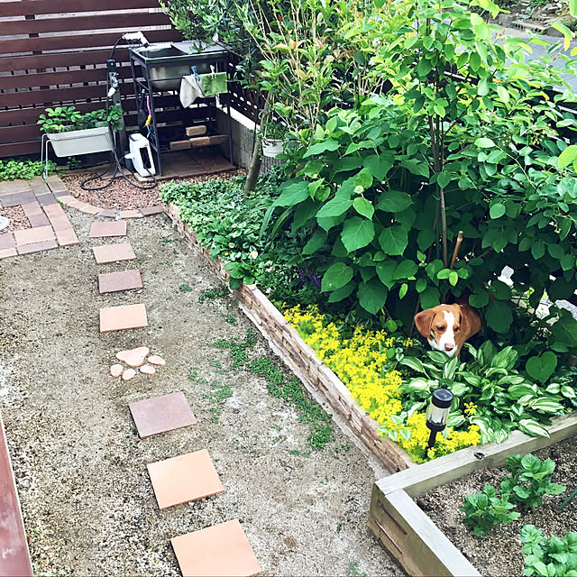 goro_wanさんの実例写真