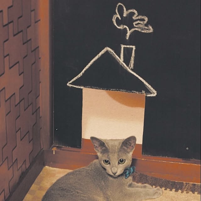 T's homeさんの実例写真