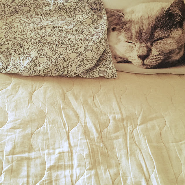 charさんの実例写真