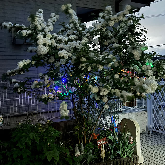 chIoeさんの部屋