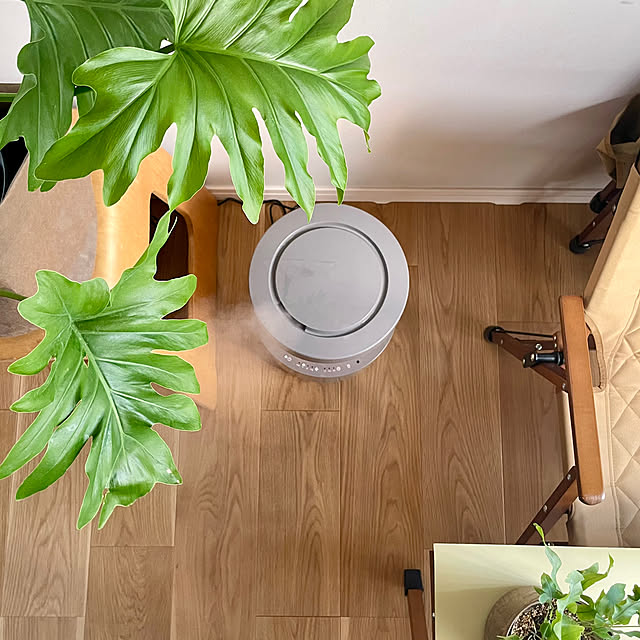 miraiiさんの部屋