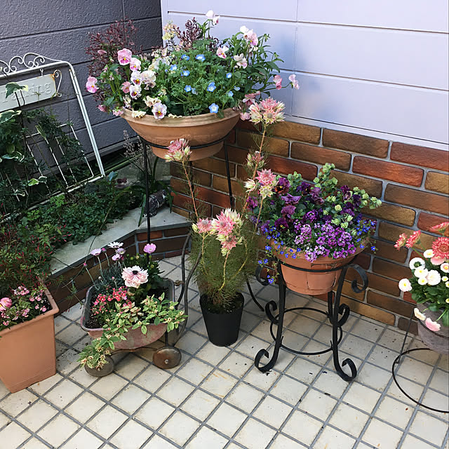 実例写真