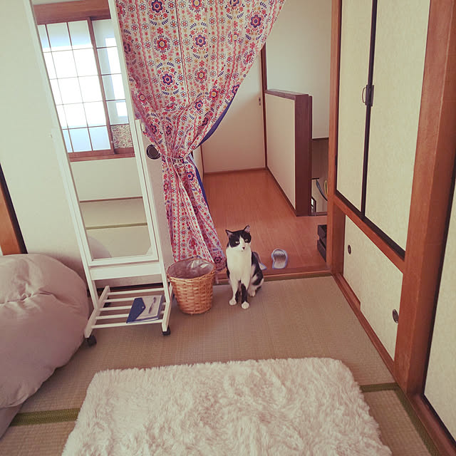 oseroさんの実例写真