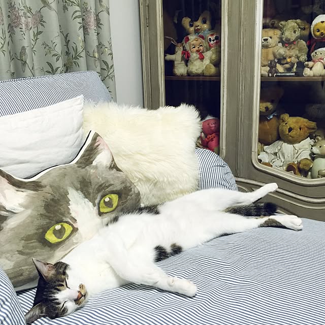 yuchiさんの実例写真