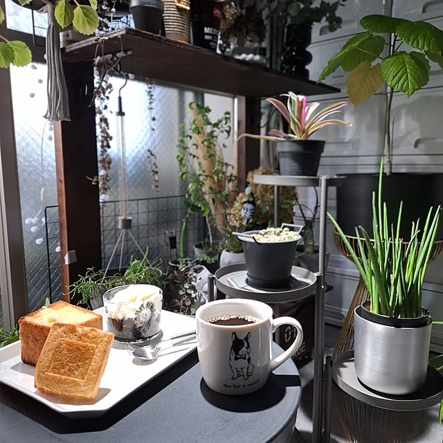 noaさんの実例写真