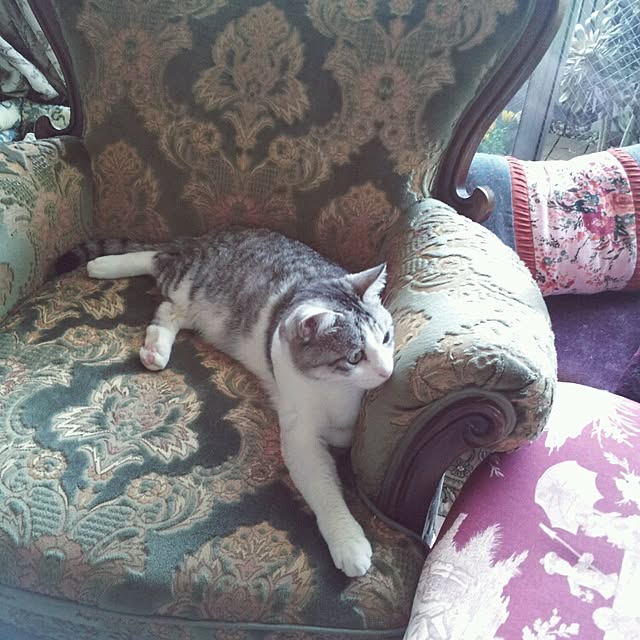 emmyyさんの実例写真