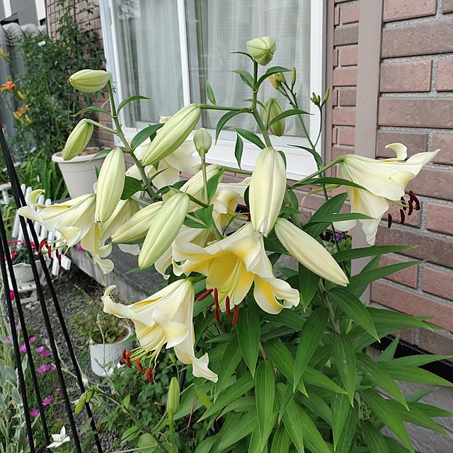 kiraさんの部屋