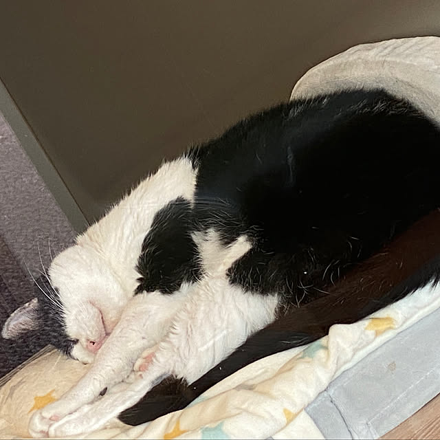 ohanaさんの実例写真