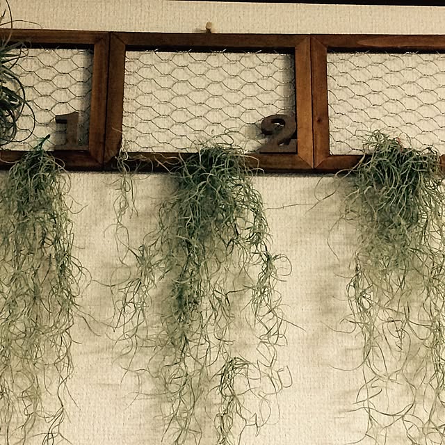 Wakkoさんの実例写真