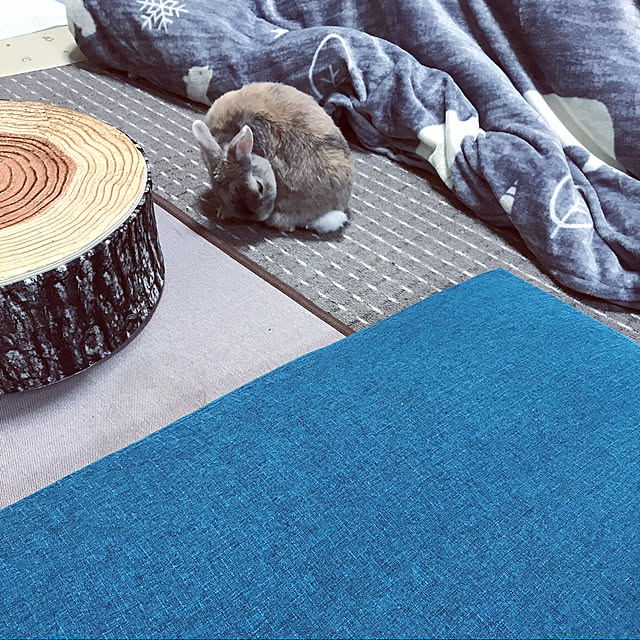 acoさんの実例写真