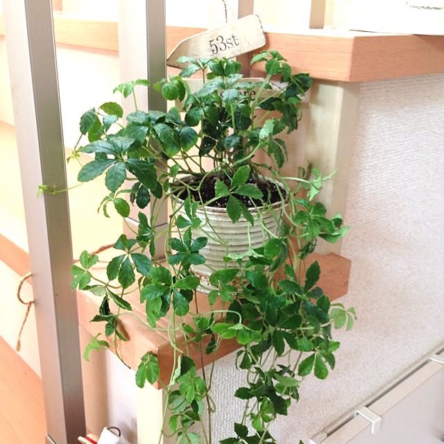 Maiさんの実例写真