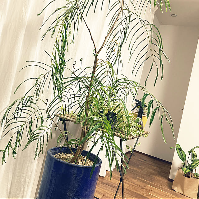 maxupさんの実例写真