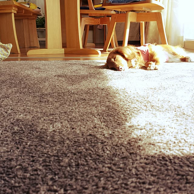 sumireさんの実例写真
