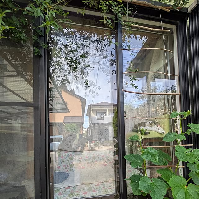 mori_6_12さんの部屋