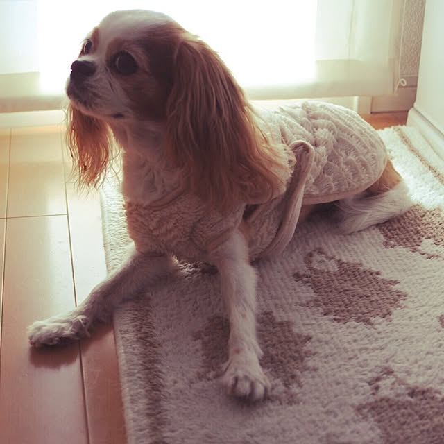 rikkoさんの実例写真