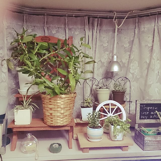 shardonnay_treeさんの実例写真