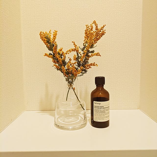 inudogさんの実例写真