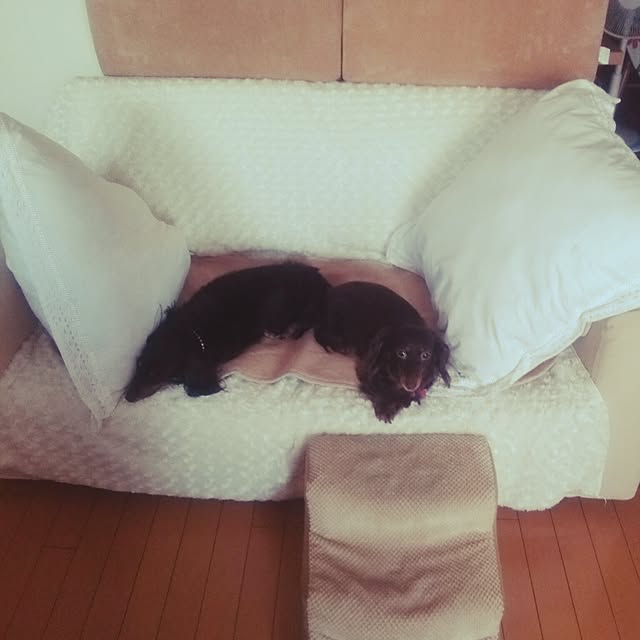 Luckyさんの実例写真