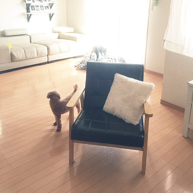 Hitomiさんの実例写真