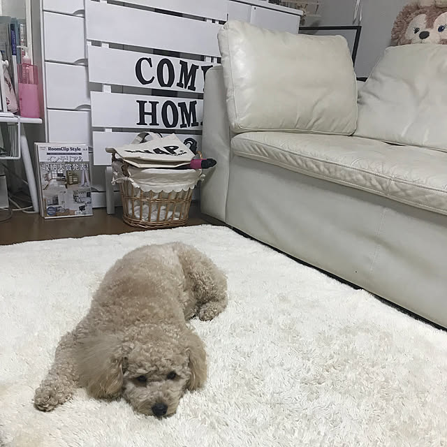 yuki89さんの実例写真