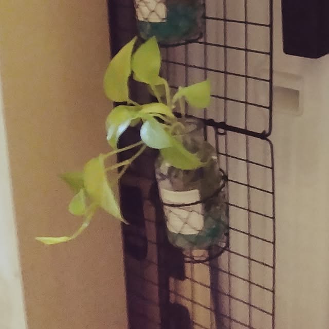 runaさんの部屋