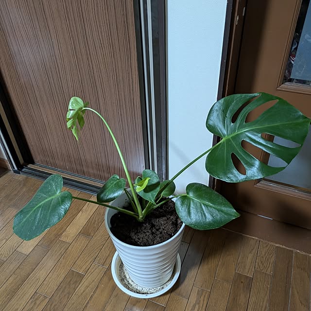 asaさんの部屋