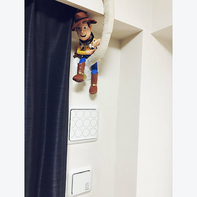 corinsei_12さんの実例写真