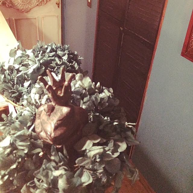 skipperさんの実例写真