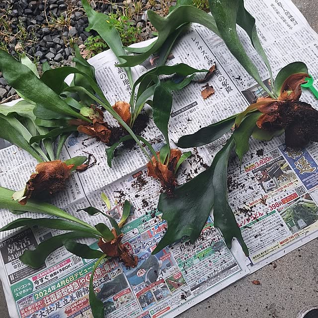 otokiさんの部屋
