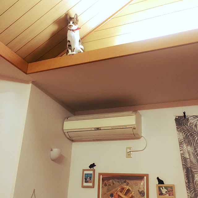 jijiさんの実例写真