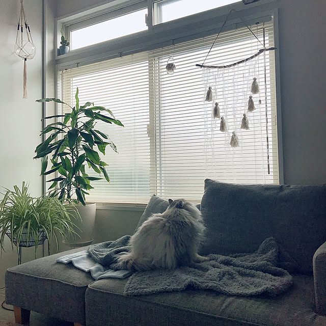 moon.mさんの実例写真