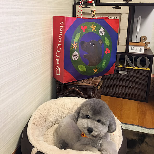 meguko.ryanさんの実例写真