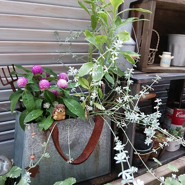 kokkomachaさんの実例写真