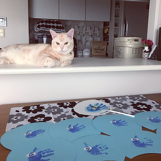 hiyupan88さんの実例写真