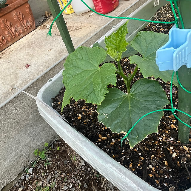 Chiakiさんの部屋