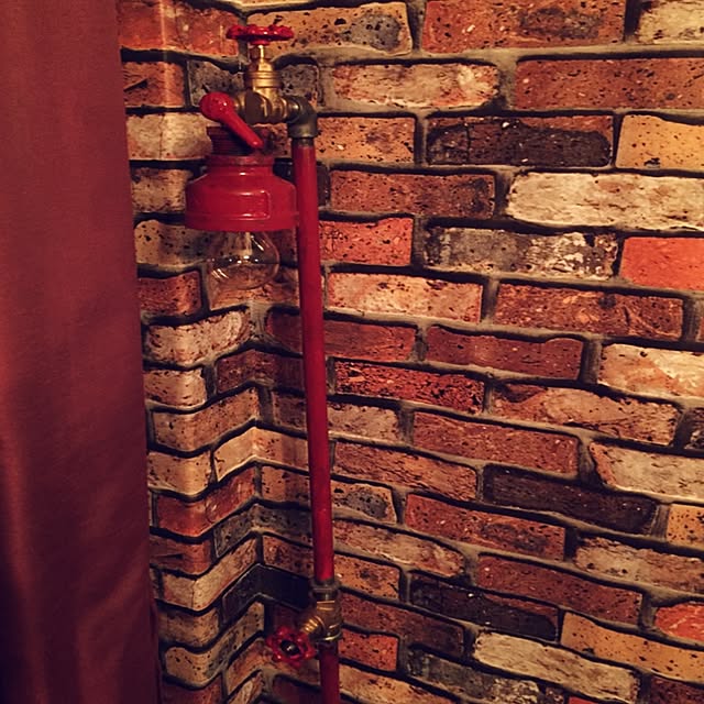 steampunkerさんの実例写真