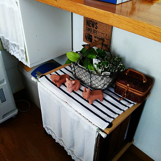 leon.cat172さんの実例写真