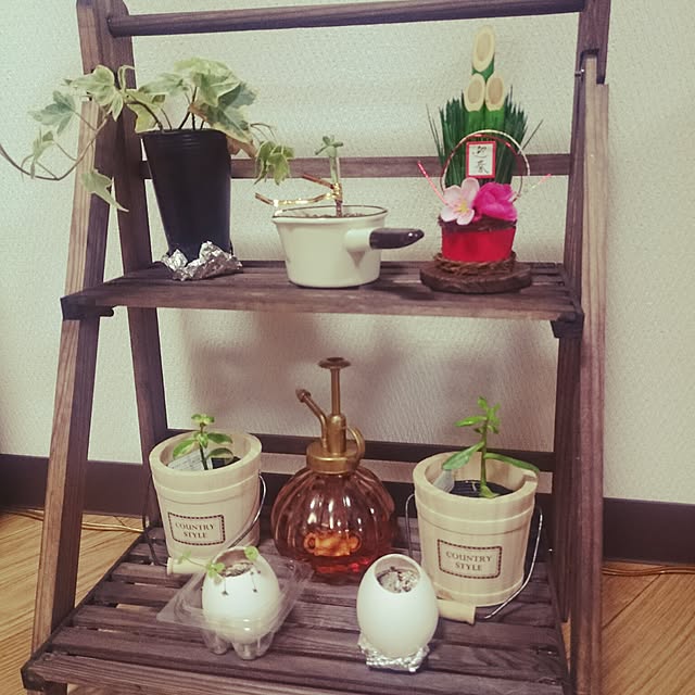 実例写真
