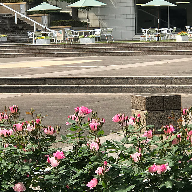 AKANEさんの実例写真