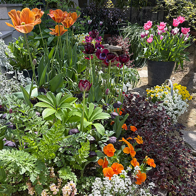 violetさんの実例写真