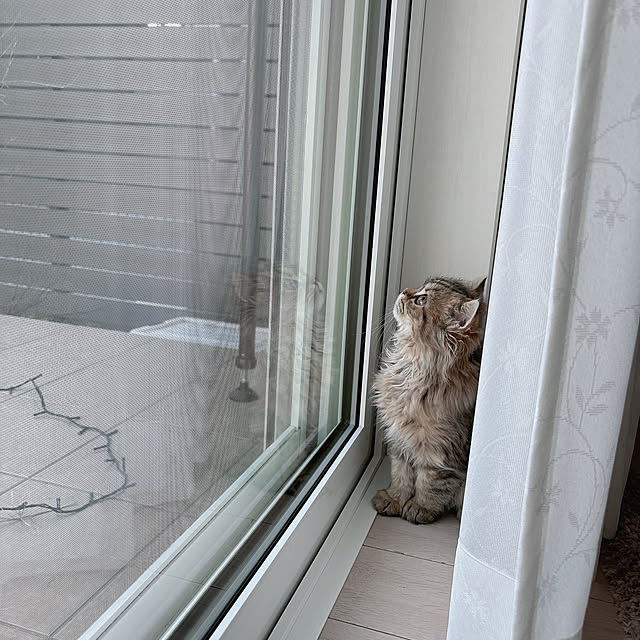 miyu39さんの実例写真